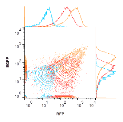 Flow cytometric analysis of THP 1 cells GSU Poon