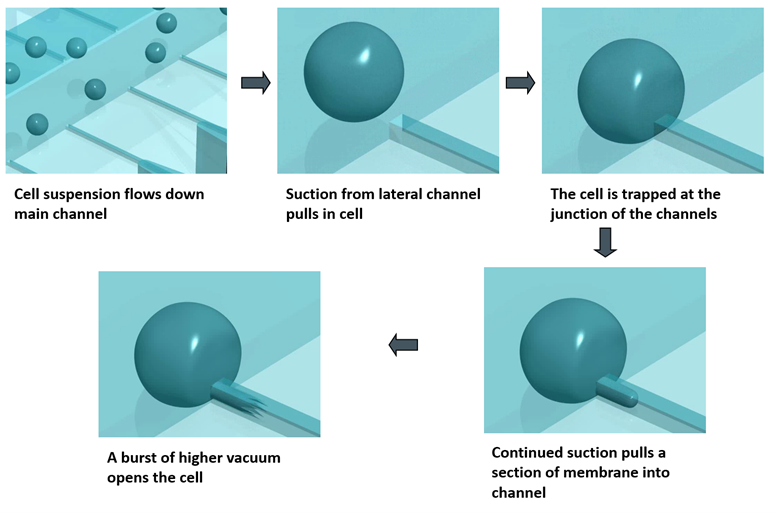 lateral patch clamp