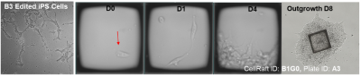 CC NC State image 2