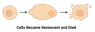 CC UNC Image 1