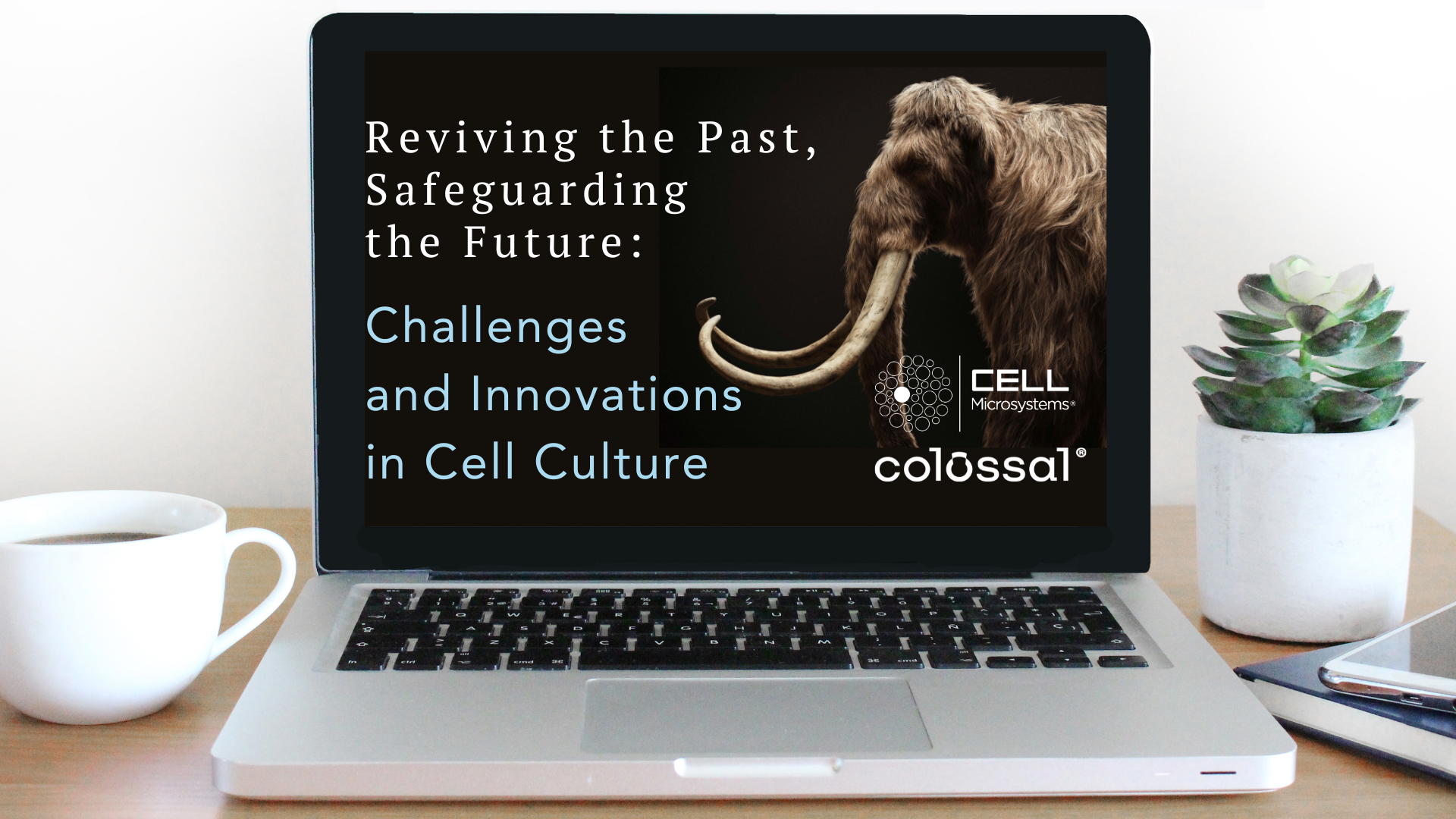 Colossal Featured image