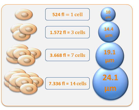 CASY aggregates