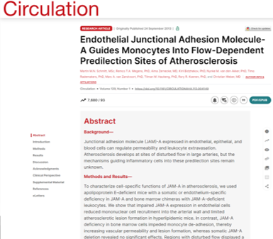 Endothelial Junctional Adhesion Molecule A Guides Monocytes Into Flow Dependent Predilection Sites of Atherosclerosis