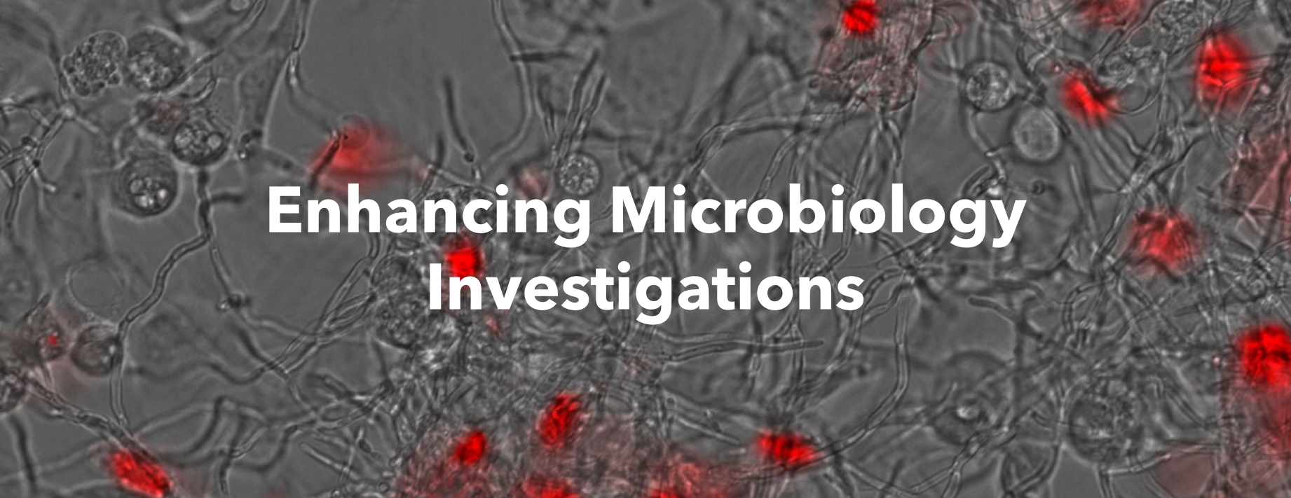 Microbiology investigation blog header