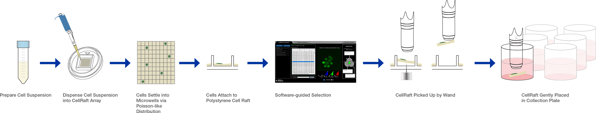 The Solution CellRaft Technology