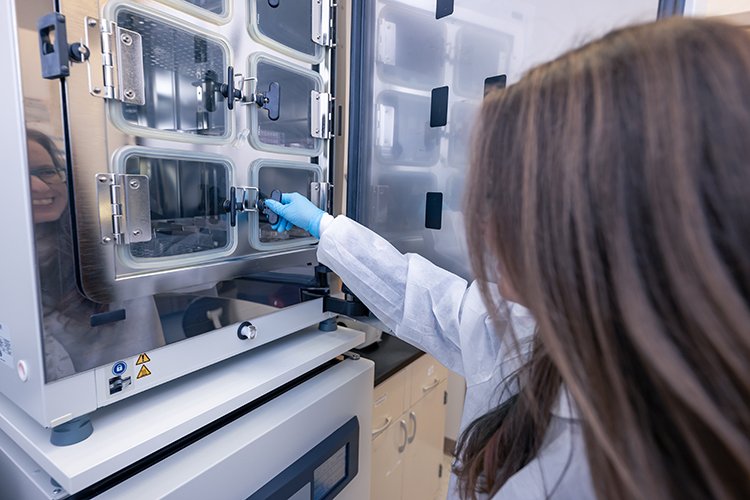 lab services2