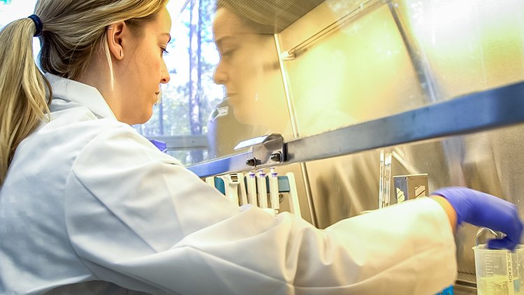 lab services5