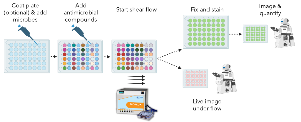 antimicrobial screening workflow1