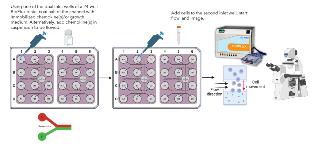 BioFlux Chemotaxis workflow1