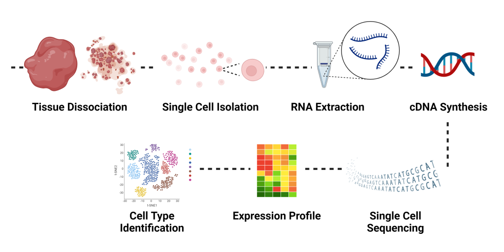 transcriptomics RNAseq white background