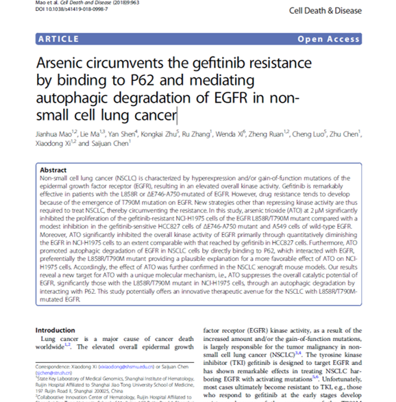 a research article thumbnail about cancer treatment