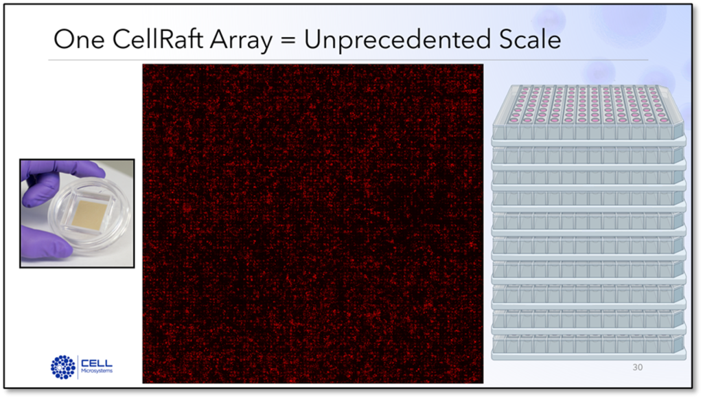 a screenshot of cells on a CellRaft