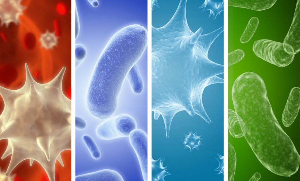 4 microbes