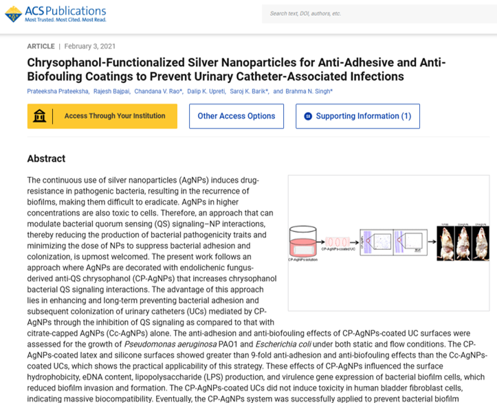 Chrysophanol Functionalized Silver Nanoparticles for Anti Adhesive and Anti Biofouling Coatings to Prevent Urinary Catheter Associated Infections